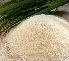 [문경초록마을] 2022 백진주 쌀 4kg