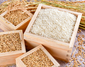 [철수네 쌀&잡곡] 백진주 문경 쌀 10kg