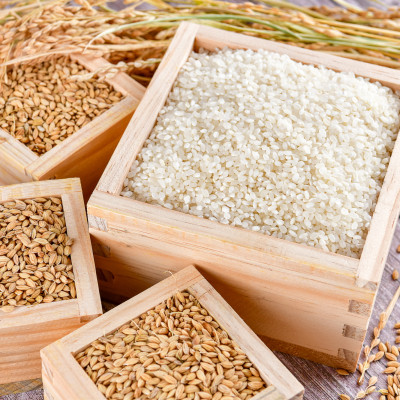 [철수네 쌀&잡곡] 백진주 문경 쌀 10kg