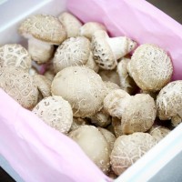 농업회사법인 문경백화버섯(주) 농가 이미지